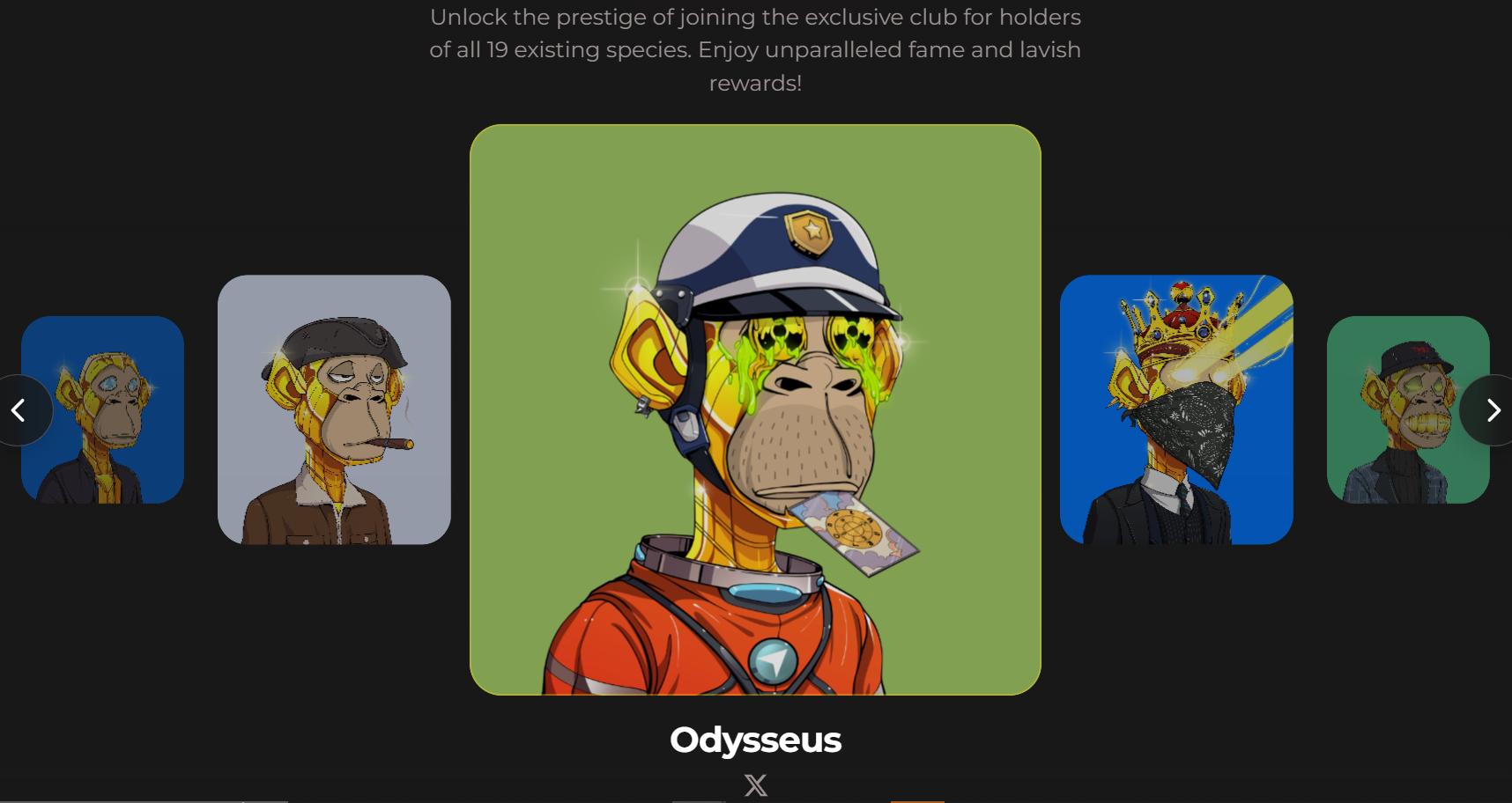 Tribe Odyssey